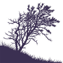 bramble silhouette vector