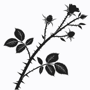 bramble with leaves