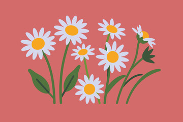 Daisy Flowers Illustration - Beautiful White Daisies with Green Stems and Leaves - Spring Floral Clipart for Decoration, Crafts, and Digital Designs