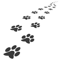 Paw prints trail silhouette isolated on white background isolated on transparent background