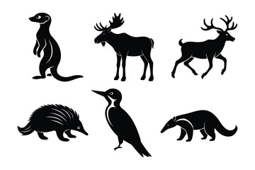 Obraz premium Wild Animal Silhouettes Set
