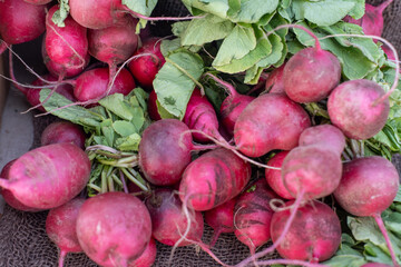 fresh radishes on market stall