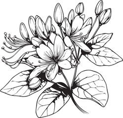 Cute kids coloring pages, easy honeysuckle flower, honeysuckle flower flower vector art, simple flower drawing, unique flowers coloring page