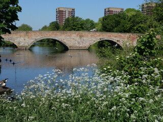 bridge over the river