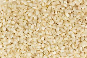 A CloseUp View of Raw White Sesame Seeds That Are Perfectly Suitable for Various Culinary Uses