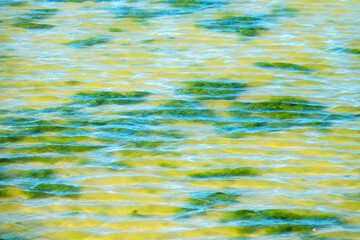 Muddy clay semi-transparent water, light waves and algae islands, a peculiar tonal and periodic background