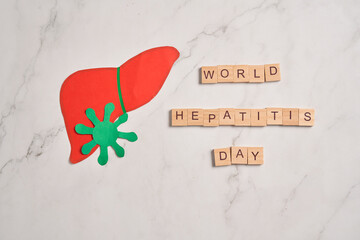 Liver, hepatitis vaccination, world hepatitis day