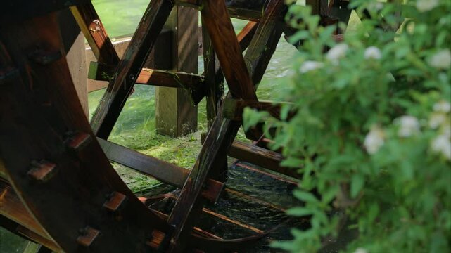 水車小屋を取り囲む新緑の木々