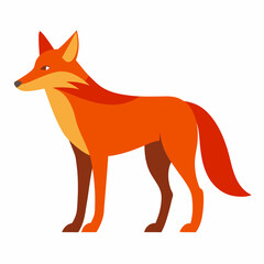 red fox vector illustration