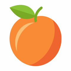 vector illustration of an orange fruit