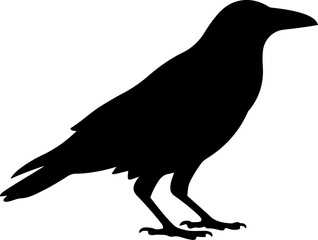 Crow silhouette vector illustration design