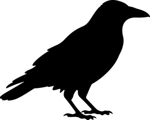 Crow silhouette vector illustration design