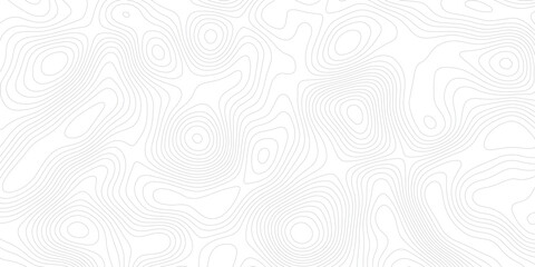 abstract White wave paper curved reliefs abstract background topographic line contour map background, geographic grid map modern design white background