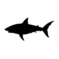 Obraz premium Shark silhouette vector illustration great white shark image ocean predator sea animal design art graphic