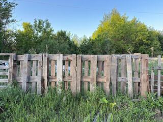 Fence made of pallets and old boards with tall grass and trees