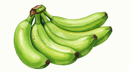Watercolor Painting Capturing A Bunch Of Unripe Bananas With Shades Of Green Showcasing The Vibrant Color And Textures Against A Light Backdrop © vikriza