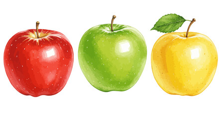 A Vibrant Green Fruit Rendered In Delicate Watercolor Evoking A Sense Of Freshness And Natural Beauty Through Its Soft Textures And Luminous Color Gradations