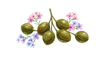 Watercolor Painting Showcasing Delicate Pink Blossoms Alongside Golden And Green Caper Fruits Evokes A Sense Of Natural Beauty And Botanical Illustration Art