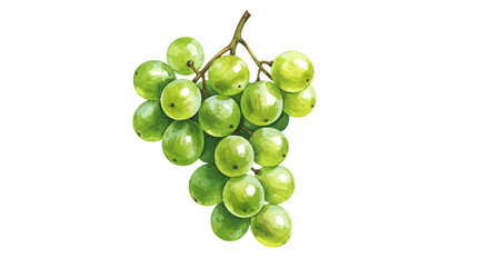 Watercolor Vector Illustration Of Orange Peels In Various Shapes Creating A Playful And Citrusy Mood On A Clean White Background Evoking Freshness And Joy