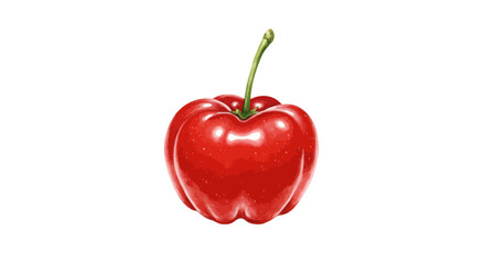 A Vibrant Watercolor Vector Illustration Presents A Single Ripe Red Acerola Cherry With A Glossy Sheen And Delicate Stem Against A Pristine White Backdrop