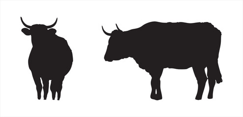 Silhouette Illustration of Standing Bull and Cow on White Background
