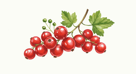 Watercolor Painting Showcases A Vibrant Cluster Of Red Currants With Green Leaves And Stems Capturing A Realistic And Fresh Botanical Illustration