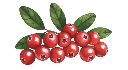 Vibrant Watercolor Vector Artwork Showcasing A Cluster Of Plump Red Cranberries Adorned With Verdant Leaves Rendered In A Realistic And Artistic Style