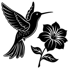 Obraz premium Black and White Hummingbird with Flower: Elegant Nature Art