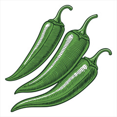 On a white background, two green chili peppers are displayed.
