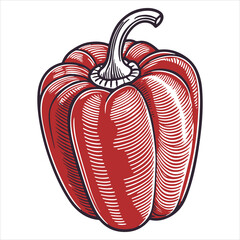 Fresh red bell peppers that look realistic against a white backdrop  Art illustration