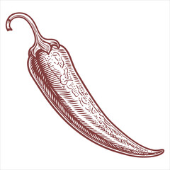 Whole chili peppers, Vintage graphic color, and black illustration engraving is