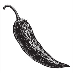 An icon of chili peppers. A basic graphic icon of a chilli pepper for the web