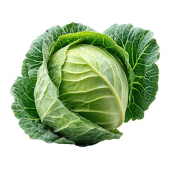 Fresh whole cabbage head isolated on a black background showing detailed leaf structure
