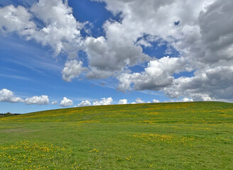 A vast green meadow dotted with yellow wildflowers stretches beneath a dramatic sky filled with fluffy white clouds.