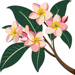 Exploring the Delicate Beauty and Symbolism of Plumeria Flowers A Guide to Growing and Appreciating These Tropical Treasures