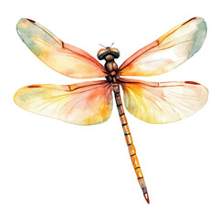 My Watercolor illustration, dragonfly painting isolated on a white background, illustration, AI painting design, vector illustration set, eps format	