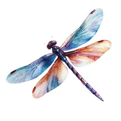 My Watercolor illustration, dragonfly painting isolated on a white background, illustration, AI painting design, vector illustration set, eps format	