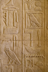 Ancient Egyptian hieroglyphs carved on stone wall, Saqqara, Egypt