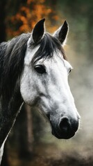 Naklejka premium Beautiful gray horse with long flowing mane in a serene forest setting during the daytime