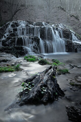 Old Tree Trunk Anchors Flowing Waterfall in Quiet Forest with Mystical Light