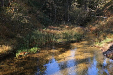 Schöner Herbsttag in den Wäldern von Mittenwald in den Bayerischen Alpen	