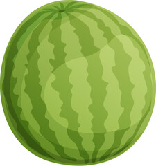 Illustration of a Fresh, Green Striped Watermelon Summer Fruit, Isolated Object.