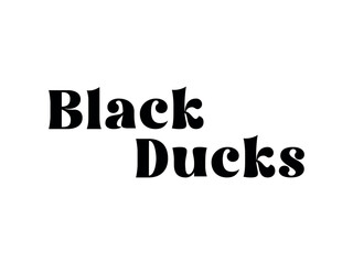 Classic Lettering Minimal Fashion Designs. Abstract Fashion font alphabet. Black ducks. white background,