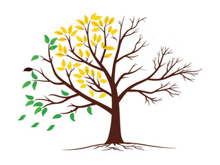 Obraz premium autumn tree with leaves vector