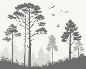 Obraz premium set of silhouettes of trees