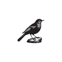 **"Charming Song Thrush Vector Silhouette: Melodic Garden Bird Design Featuring Upright Stance, Distinct Beak, and Sleek Form in Clean, Minimalist Style for Crafts and Digital Art"**
