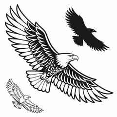 Obraz premium eagle in flight