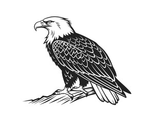 Majestic Bald Eagle Perched on a Branch Black and White Illustration