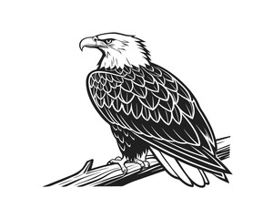 Majestic Bald Eagle Perched on a Branch Black and White Illustration