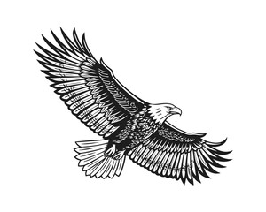 Majestic Bald Eagle in Flight Black and White Illustration